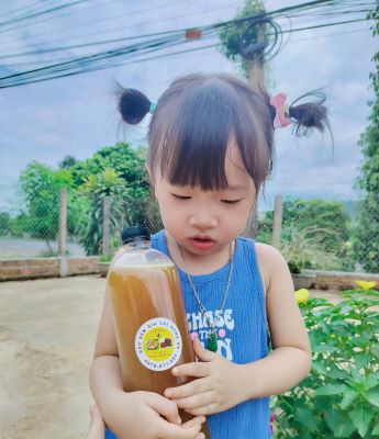 So sánh sự khác nhau giữa mật ong rừng Kon Ka Kinh và mật ong nuôi